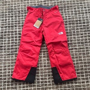 NWT The North Face Freedom Insulated Pants Size Medium